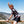 Load image into Gallery viewer, Holy Cow Racing Team Jersey