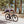 Load image into Gallery viewer, Holy Cow Racing Aero Race Bibshorts