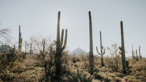 2023 Valley of the Sun Stage Race